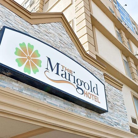 The Marigold Hotel Brampton Eksteriør bilde
