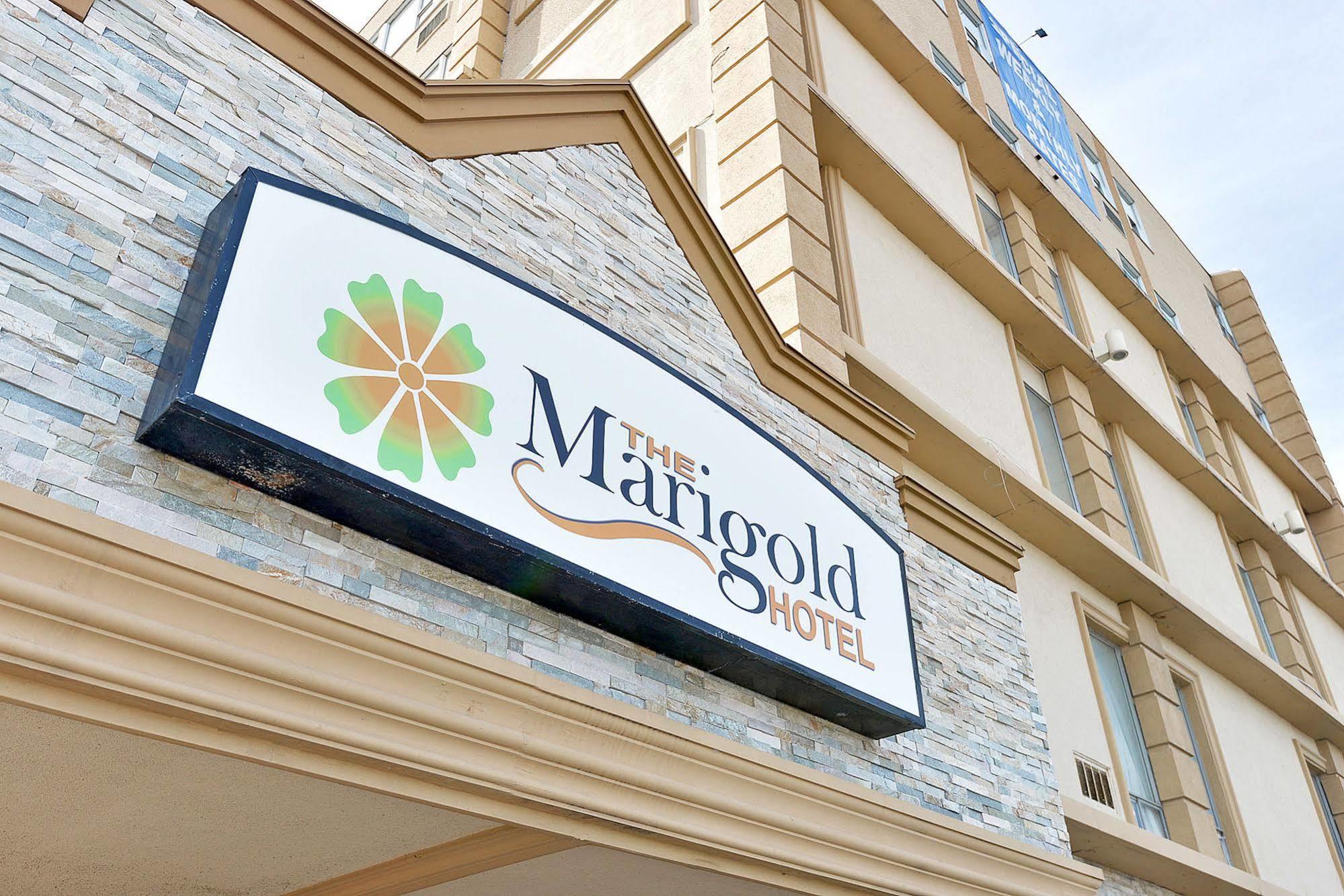 The Marigold Hotel Brampton Eksteriør bilde